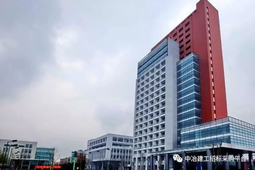 四冶柏芷山國際度假公園酒店商業街園林景觀工程勞務分包 綜合解析