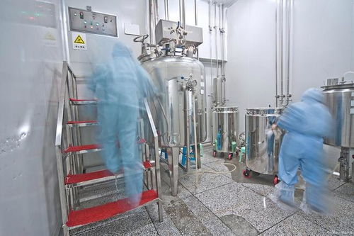 遼寧樂(lè)金建設(shè) 寧安市食品工廠(chǎng)凈化裝修中加藥泵的關(guān)鍵作用與技術(shù)要點(diǎn)